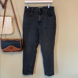 Everlane The Curvy Cheeky Jean